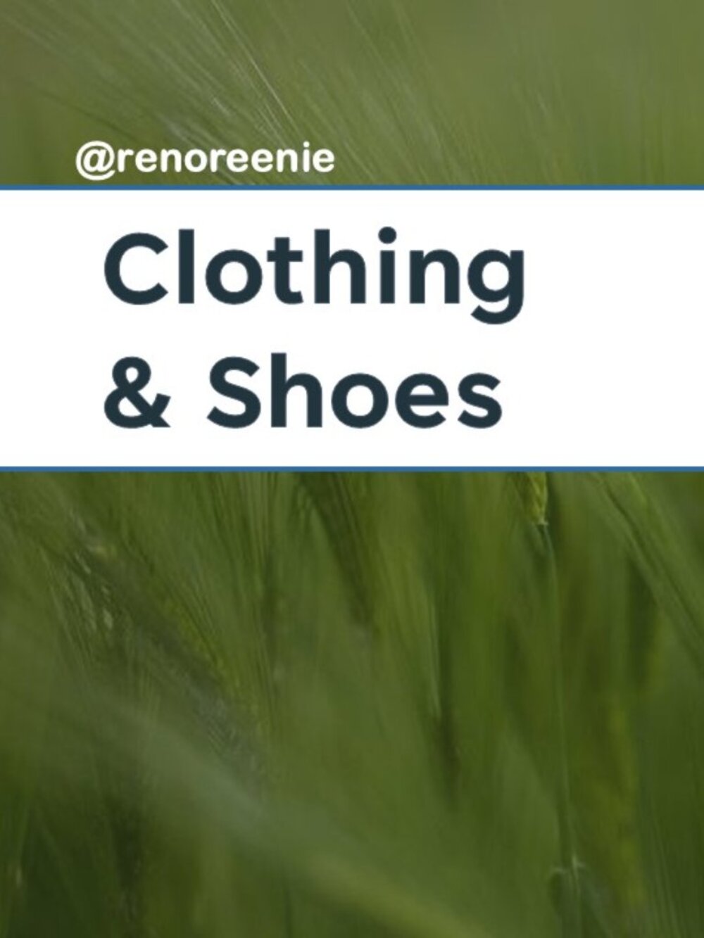 women's clothing